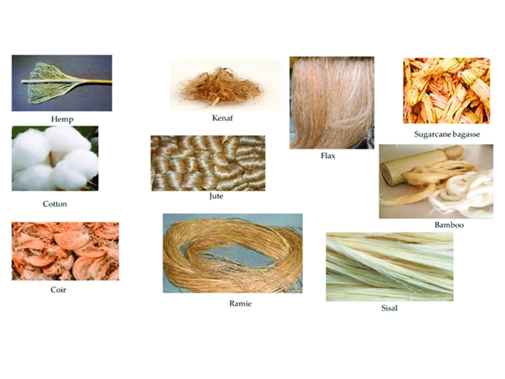 Natural Fibers